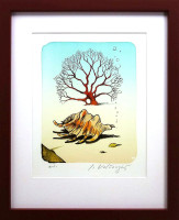 PRODÁNO. Josef Velčovský - Mušle a korál - grafika